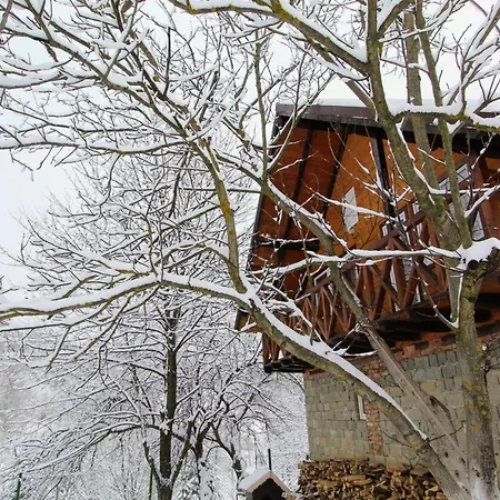 Apartment багрівчанка *